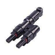 Haaroitin MC4 (2 x uros - 1 x naaras)